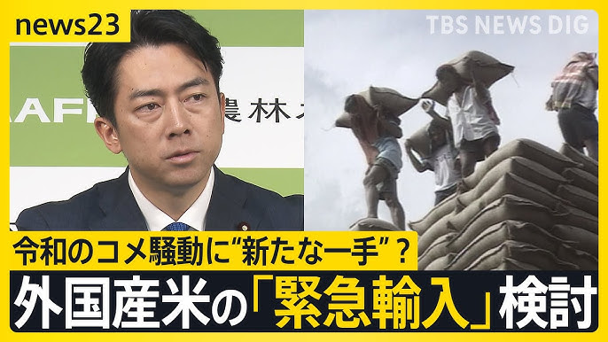 【米問題】“新たな一手”？　小泉農水大臣　外国産米の「緊急輸入」検討　過去はタイ米“たたき売り” 民間輸入は急増…カリフォルニア産米に熱視線【news23】